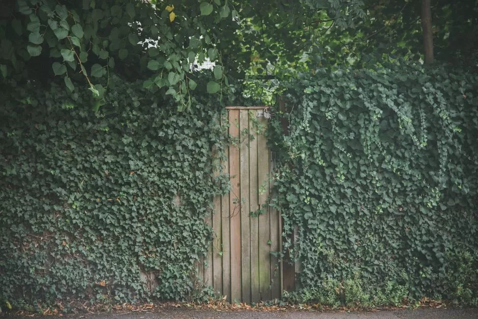 A private garden square in summer