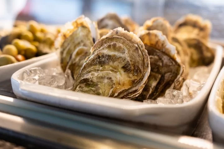 Fresh oysters on plate in restaurant