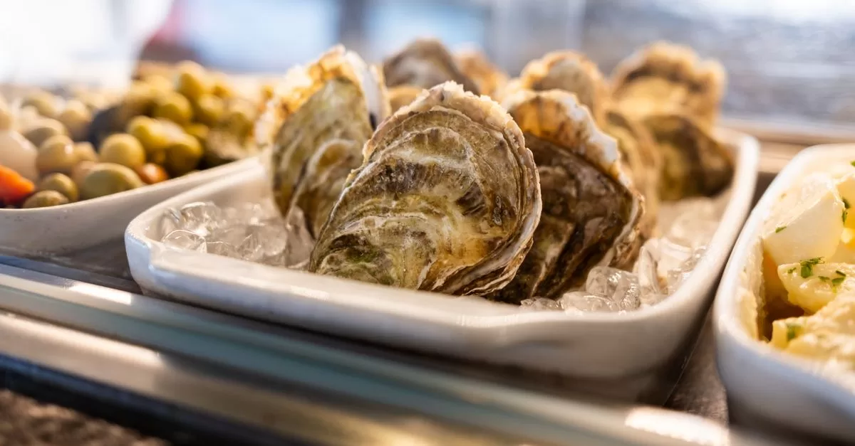 Fresh oysters on plate in restaurant